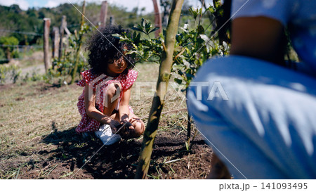 Little latin child planting tree with adult in garden Little latin child planting tree with adult in garden 141093495