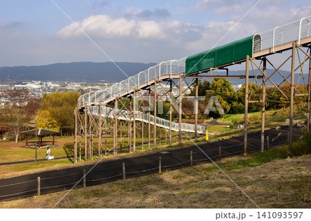 神奈川県 県立おだわら諏訪の原公園の陽だまりの丘と黄葉とローラーすべり台と眺望 神奈川県 県立おだわら諏訪の原公園の陽だまりの丘と黄葉とローラーすべり台と眺望 141093597