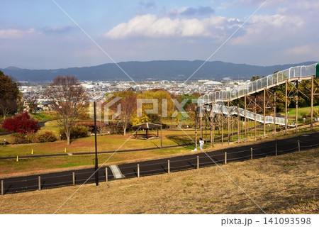 神奈川県 県立おだわら諏訪の原公園の陽だまりの丘と黄葉とローラーすべり台と眺望 神奈川県 県立おだわら諏訪の原公園の陽だまりの丘と黄葉とローラーすべり台と眺望 141093598