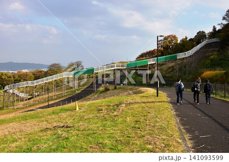 神奈川県 県立おだわら諏訪の原公園の陽だまりの丘散策路と黄葉とローラーすべり台 神奈川県 県立おだわら諏訪の原公園の陽だまりの丘散策路と黄葉とローラーすべり台 141093599