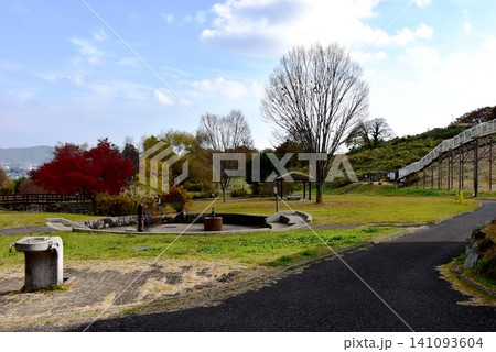 神奈川県 県立おだわら諏訪の原公園の陽だまりの丘散策路と紅葉とローラーすべり台 神奈川県 県立おだわら諏訪の原公園の陽だまりの丘散策路と紅葉とローラーすべり台 141093604