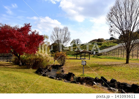 神奈川県 県立おだわら諏訪の原公園の陽だまりの丘と紅葉とローラーすべり台 神奈川県 県立おだわら諏訪の原公園の陽だまりの丘と紅葉とローラーすべり台 141093611