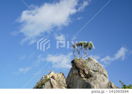 宮城県_宮戸島_大浜漁港 141093894