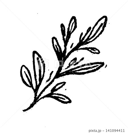 Hand Drawn Pressed Leaf Sprig Vector Line Art 141094411