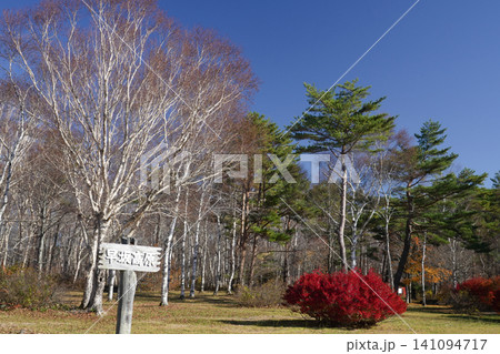 岩手県_岩泉町_早坂高原 岩手県_岩泉町_早坂高原 141094717
