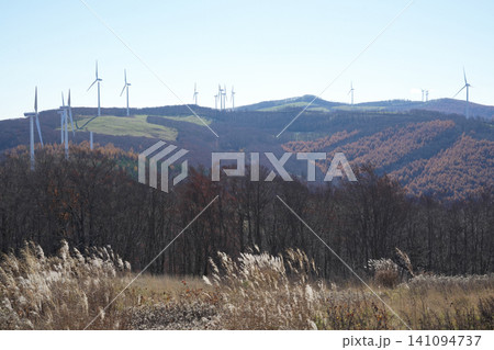 岩手県_葛巻町_上外川高原 岩手県_葛巻町_上外川高原 141094737