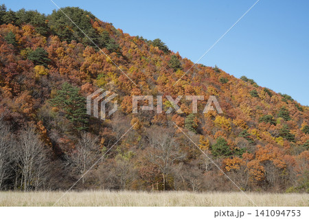 岩手県_葛巻町江刈_外川川沿い 岩手県_葛巻町江刈_外川川沿い 141094753