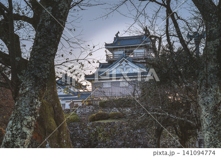 越前大野城の風景 141094774