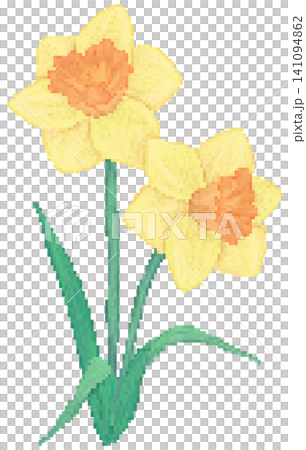Daffodil or Narcissus flower in pixel art 141094862