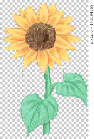 Sunflower in pixel art Sunflower in pixel art 141094865