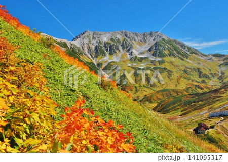 紅葉の立山連峰 ハイキング 紅葉の立山連峰 ハイキング 141095317