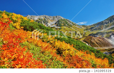 紅葉の立山連峰 ハイキング 紅葉の立山連峰 ハイキング 141095319