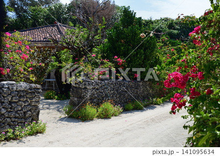竹富島の風景 竹富島の風景 141095634