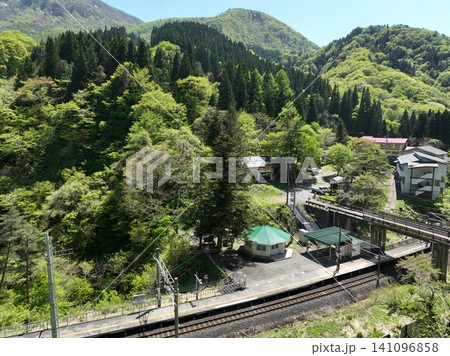新緑に包まれた面白山高原駅の渓谷初夏風景 新緑に包まれた面白山高原駅の渓谷初夏風景 141096858
