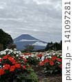 富士山とたくさんの花 141097281