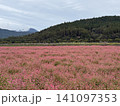赤い花と山 141097353