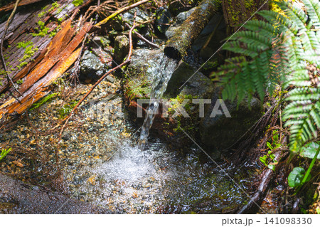 舟子尾根ノ頭付近の登山道にある苔むした湧き水と水場 舟子尾根ノ頭付近の登山道にある苔むした湧き水と水場 141098330