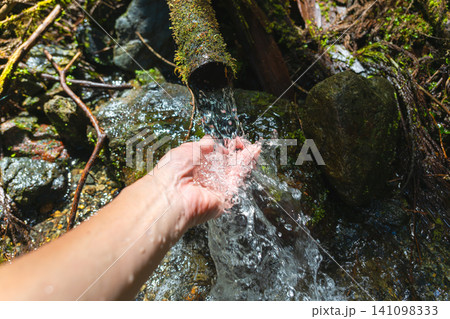 舟子尾根ノ頭付近の登山道にある苔むした湧き水と水場 舟子尾根ノ頭付近の登山道にある苔むした湧き水と水場 141098333