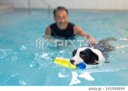 プールでリハビリをする犬とトレーナーのシニア男性 141098694