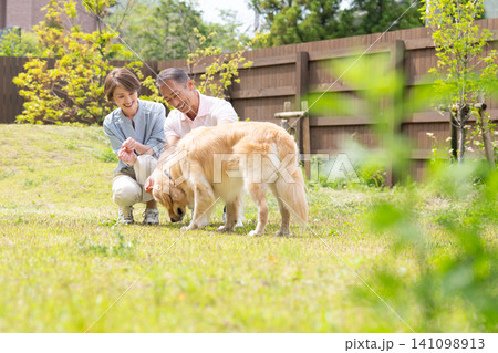 大型犬と生活するシニア夫婦 大型犬と生活するシニア夫婦 141098913