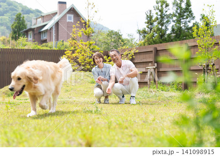 大型犬と生活するシニア夫婦 大型犬と生活するシニア夫婦 141098915