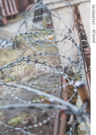Barbed wire wall. Security barbed wire on a low fence Barbed wire wall. Security barbed wire on a low fence 141099240