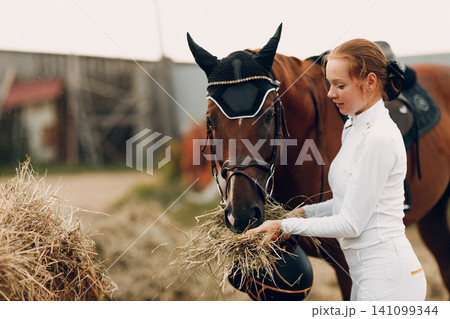 Woman rider jockey in white uniform feeds horse at stable Woman rider jockey in white uniform feeds horse at stable 141099344
