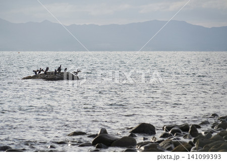 青森県_平内町_夏泊半島・大島 青森県_平内町_夏泊半島・大島 141099393