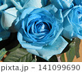 一輪の青いバラ 141099690