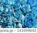 ブルーローズ 141099692