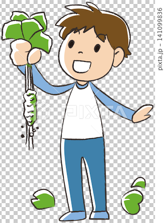 Wasabi picking Wasabi picking 141099836