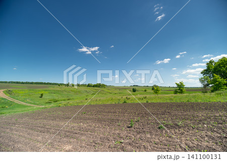 Sunny rural landscape with plowed field and distant green hills Sunny rural landscape with plowed field and distant green hills 141100131