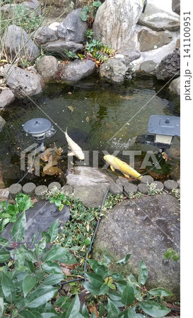 豊山神社の御手水 豊山神社の御手水 141100951