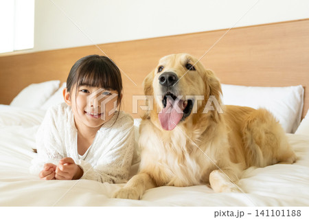 ベッドの上でゴールデンレトリバーと笑顔で寄り添う女の子 ベッドの上でゴールデンレトリバーと笑顔で寄り添う女の子 141101188