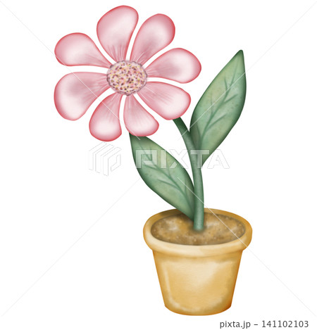 Flowers in pots, illustration image. hand drawn pastel color.Watercolor Potted Plants. Flowers in pots, illustration image. hand drawn pastel color.Watercolor Potted Plants. 141102103