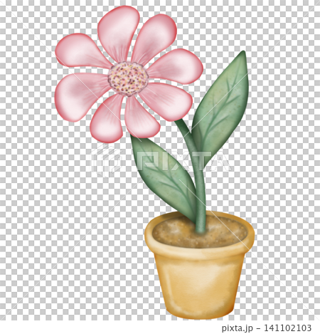 Flowers in pots, illustration image. hand drawn pastel color.Watercolor Potted Plants. Flowers in pots, illustration image. hand drawn pastel color.Watercolor Potted Plants. 141102103