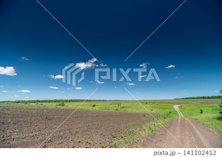 Rural dirt road beside freshly plowed field under deep blue sky Rural dirt road beside freshly plowed field under deep blue sky 141102412