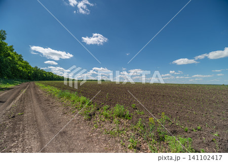 Rural dirt track beside freshly plowed field under blue sky Rural dirt track beside freshly plowed field under blue sky 141102417