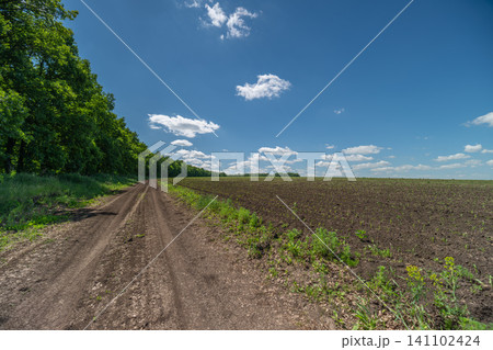Rural dirt track alongside a plowed field under a blue sky 141102424
