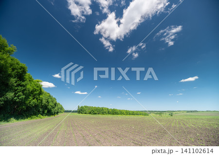 Sunny rural field with freshly tilled soil and distant tree line Sunny rural field with freshly tilled soil and distant tree line 141102614