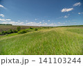 Sunny green meadow and rolling countryside under blue sky Sunny green meadow and rolling countryside under blue sky 141103244