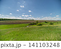 Sunny rural meadow with rolling fields and distant horizon Sunny rural meadow with rolling fields and distant horizon 141103248