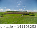Sunny rural field with cornline and wildflowers under blue sky Sunny rural field with cornline and wildflowers under blue sky 141103252