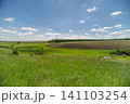 Sunny rural field with green grass and distant treeline Sunny rural field with green grass and distant treeline 141103254