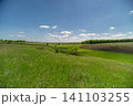 Sunny rural meadow with wild grasses and distant tree line Sunny rural meadow with wild grasses and distant tree line 141103255