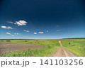 Dirt track through open green meadow under deep blue sky Dirt track through open green meadow under deep blue sky 141103256