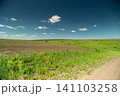 Rural field with dirt road under blue sky Rural field with dirt road under blue sky 141103258