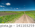 Sunlit dirt country road through green farmland under blue sky Sunlit dirt country road through green farmland under blue sky 141103259