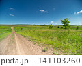 Sunlit dirt road winding through a green summer meadow under a clear blue sky Sunlit dirt road winding through a green summer meadow under a clear blue sky 141103260