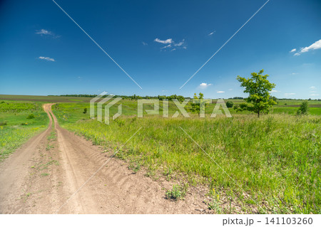 Sunlit dirt road winding through a green summer meadow under a clear blue sky Sunlit dirt road winding through a green summer meadow under a clear blue sky 141103260